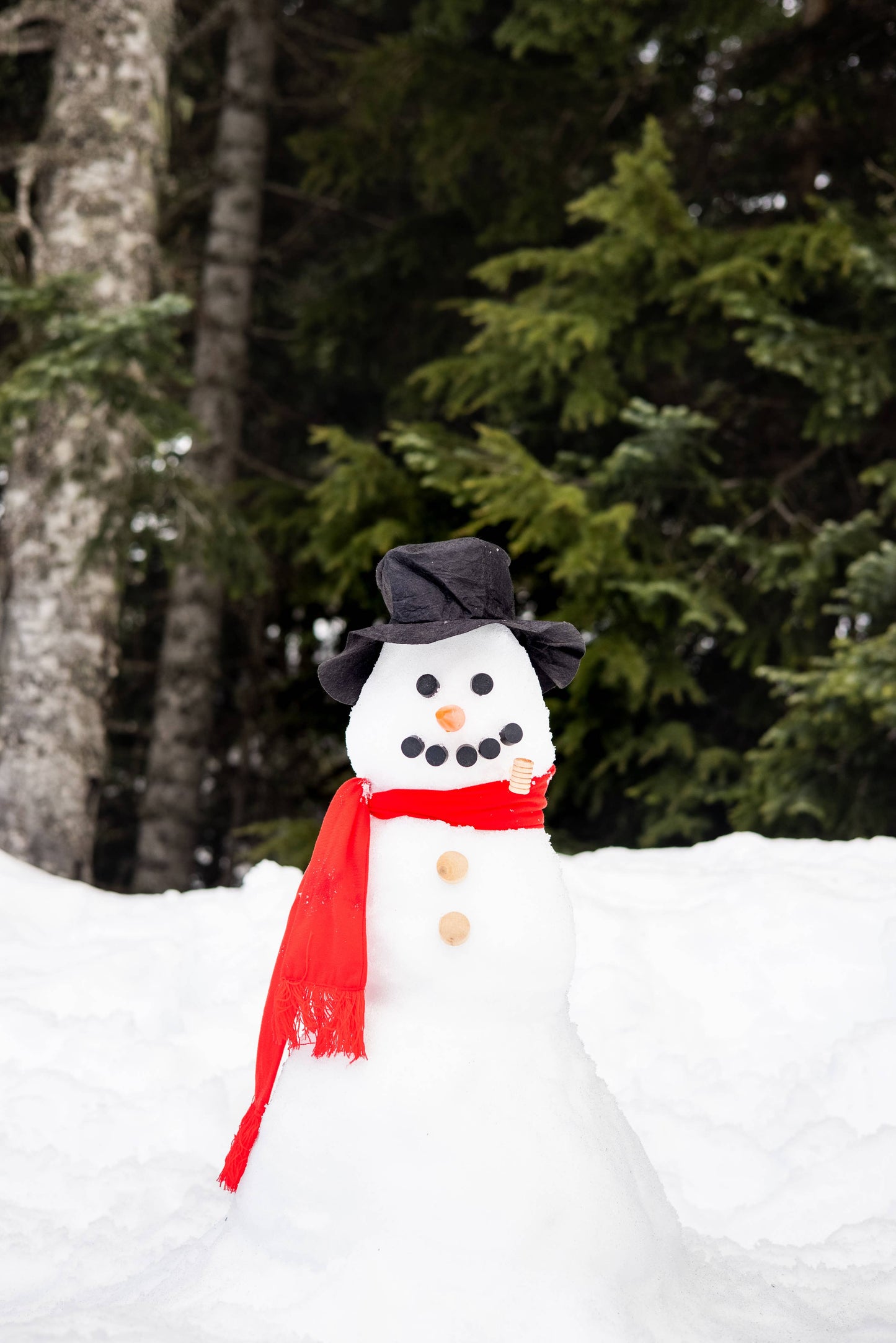 Build Your Own Snowman Kit