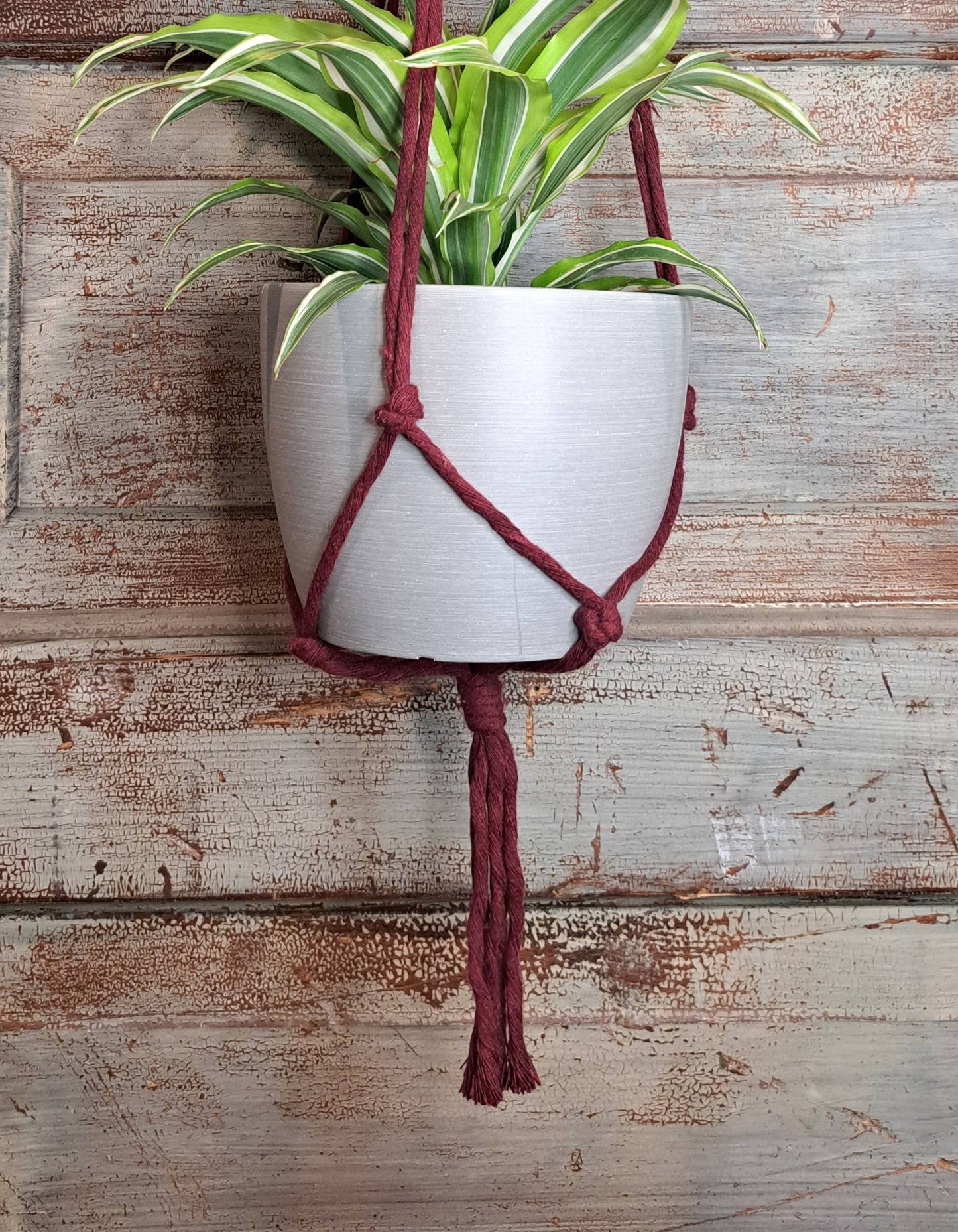 Simple Macrame Hanger, 4-6”