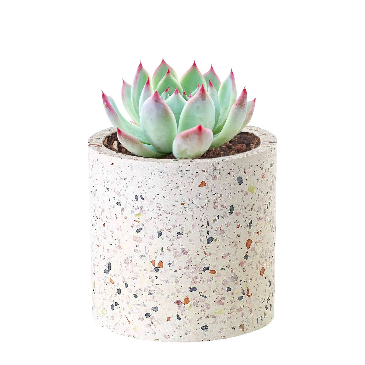 3.25" Terrazzo Pot - Succulent Pots - Ceramic Pots For Plant