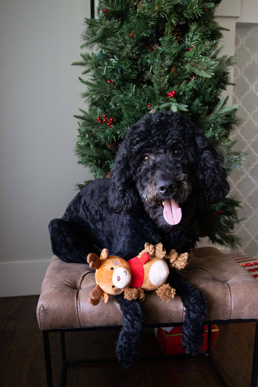 Reindeer Plush Rope Christmas Dog Toy