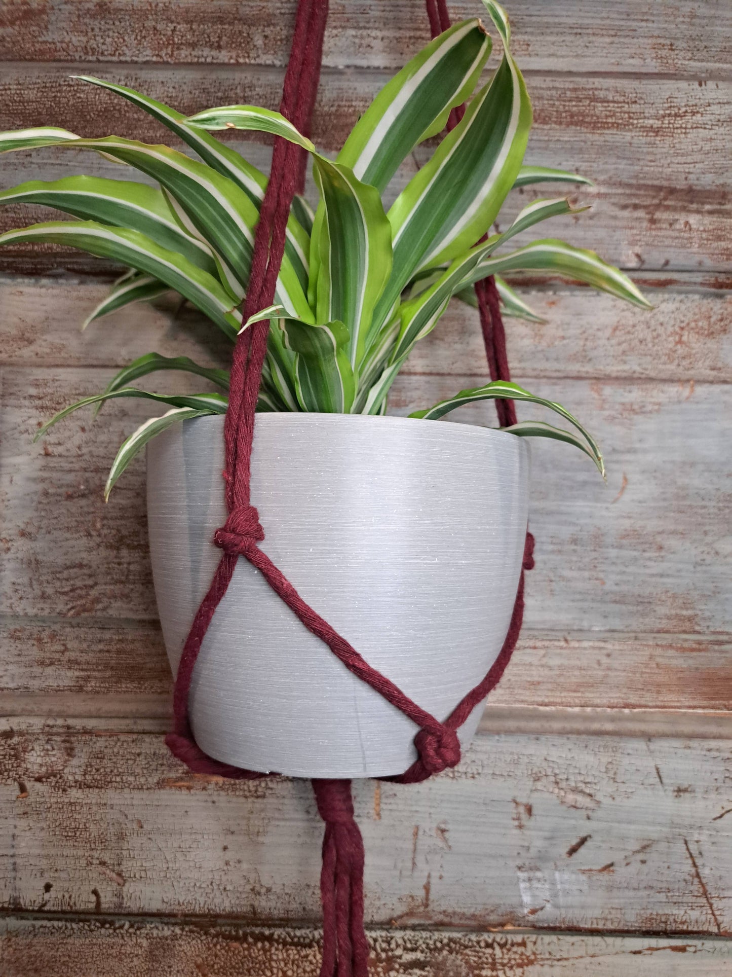 Simple Macrame Hanger, 4-6”