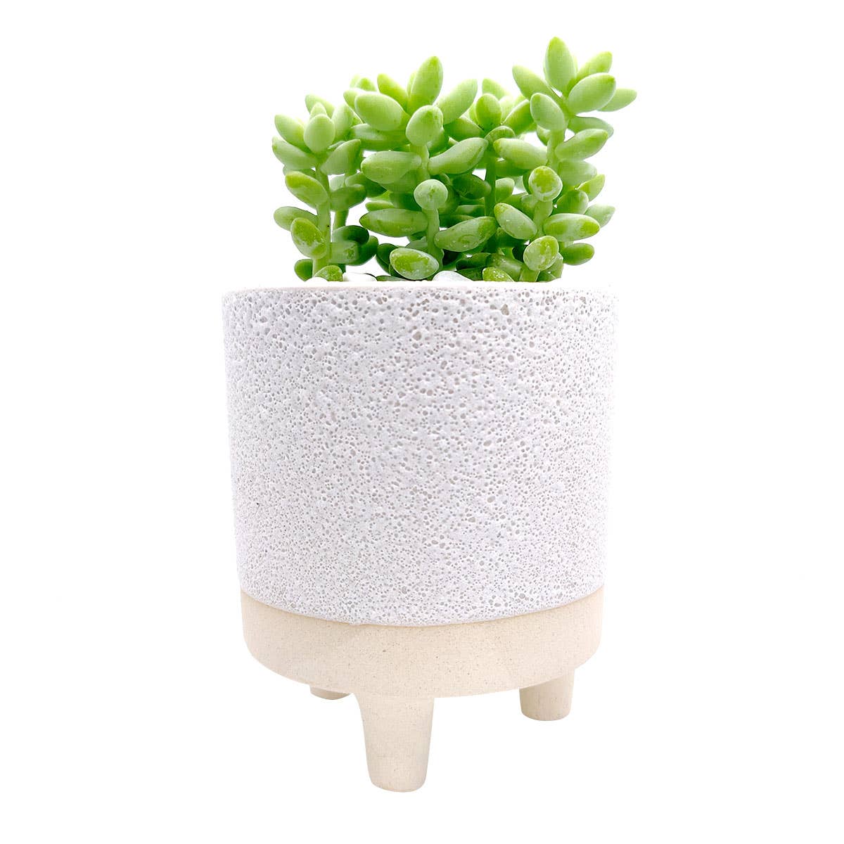 Cute Footed Pot
- Ceramic Pots For Plant: 2 inch