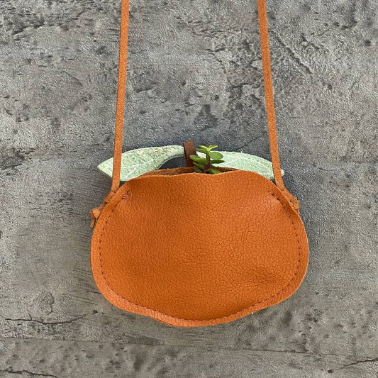 Kids Cute Pumpkin Purse