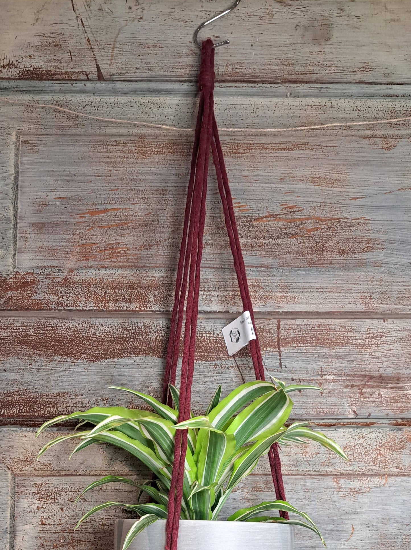 Simple Macrame Hanger, 4-6”