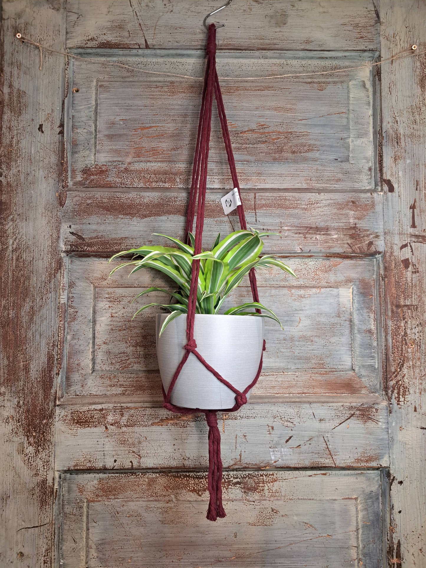 Simple Macrame Hanger, 4-6”