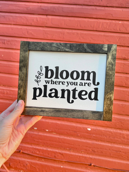 Bloom Where You Are Planted