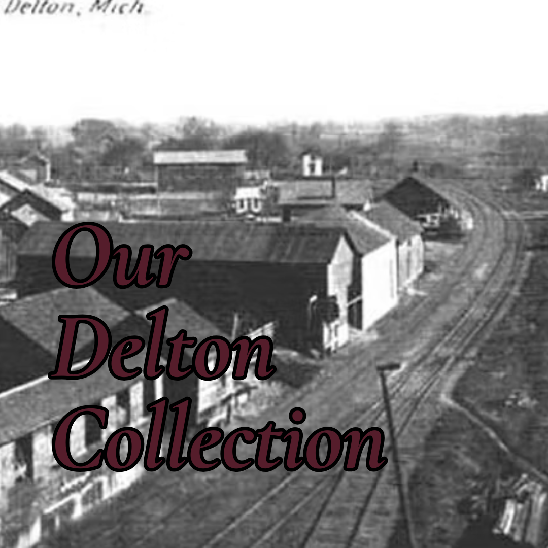 Delton Michigan Collection