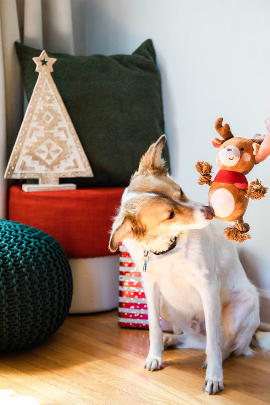 Reindeer Plush Rope Christmas Dog Toy