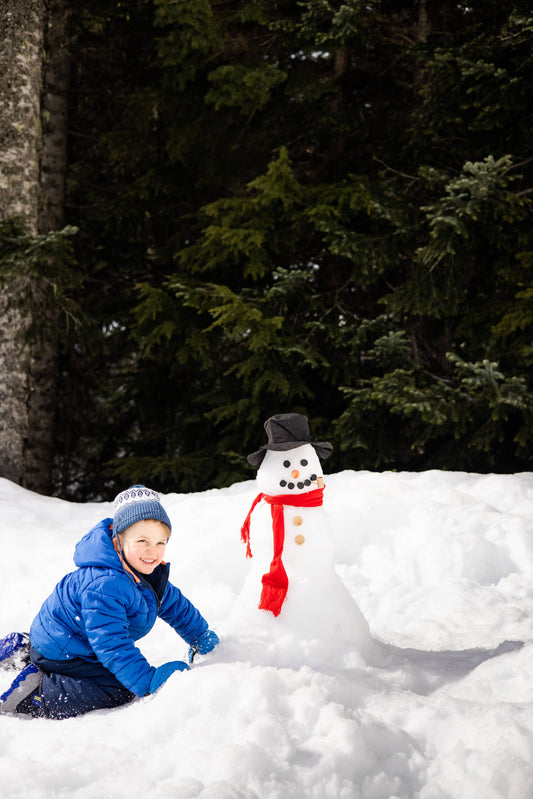 Build Your Own Snowman Kit