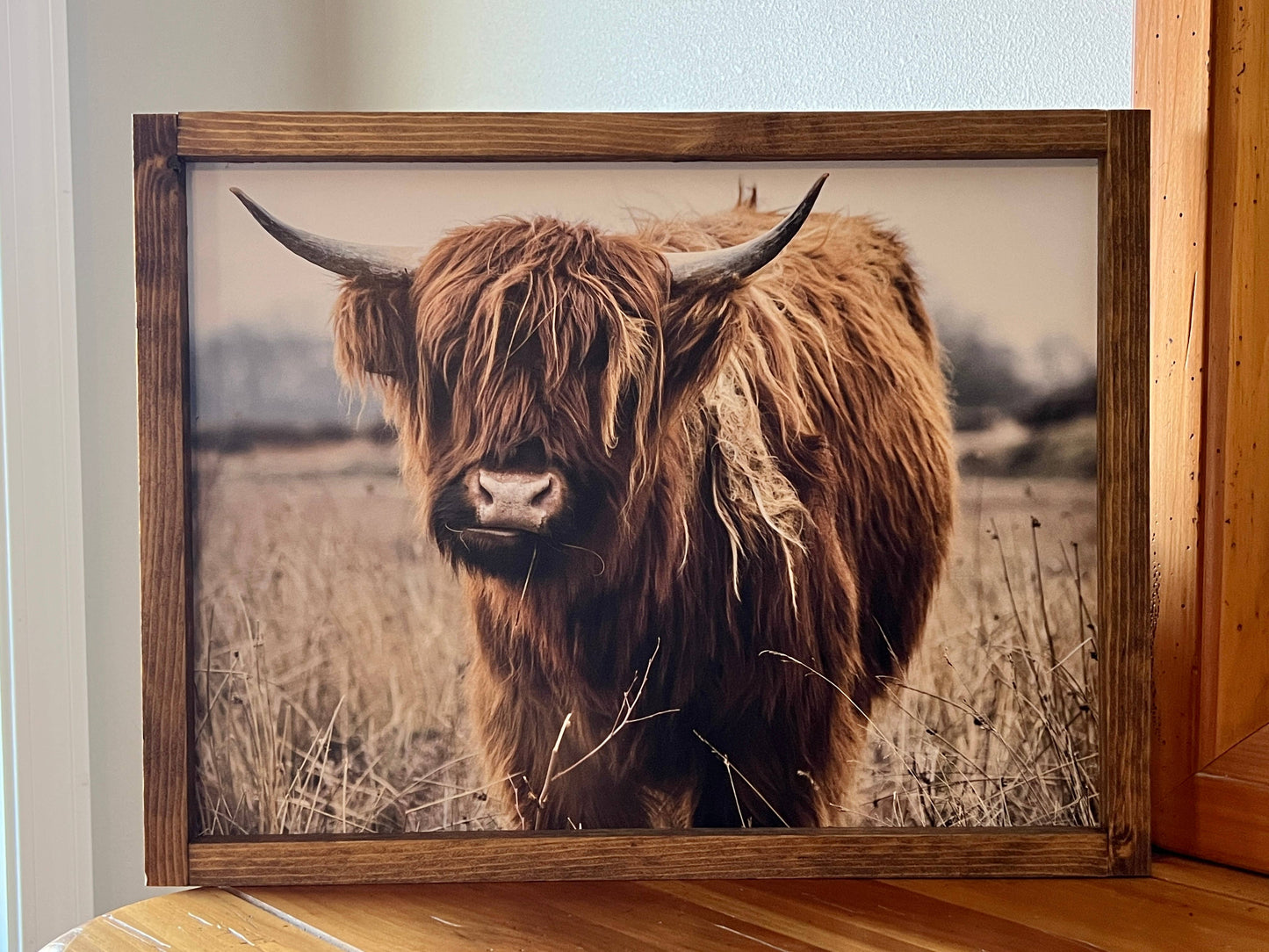Highland Cow in Field - Rustic Sign
